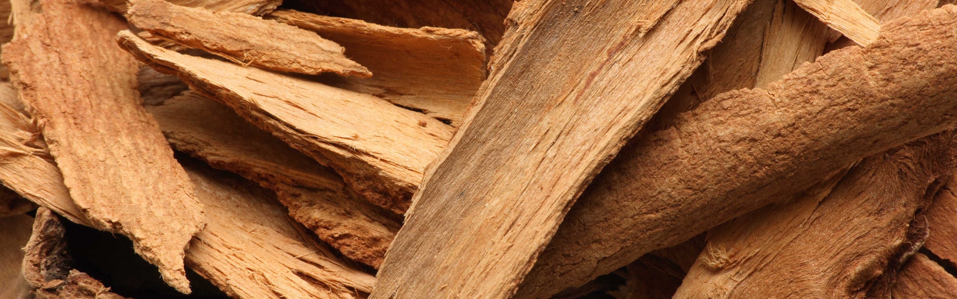 Cinnamon bark shutterstock 24216835